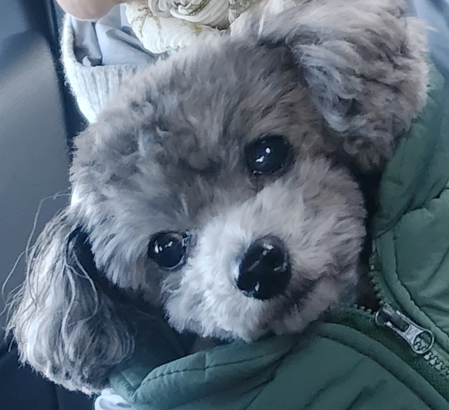 c85b3f83b5e030eb9ed847dee1178183_1765005030_0742.jpg c85b3f83b5e030eb9ed847dee1178183_1765005030_0742.jpg