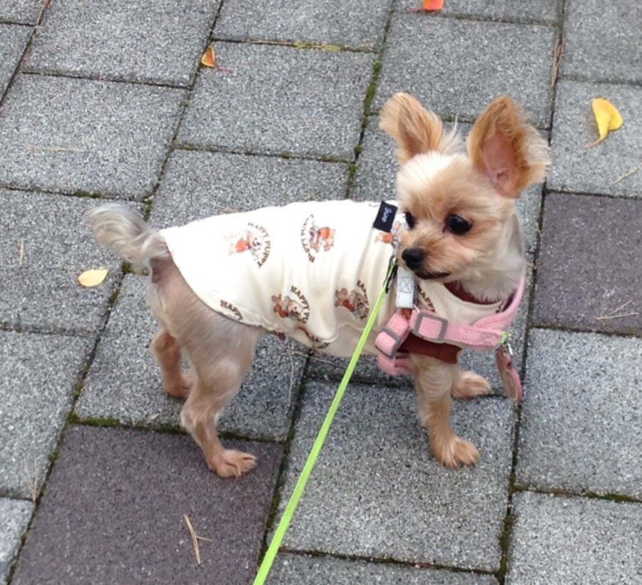 f2d853f1ec610b4608e92e95c5171dc5_1764890244_9357.jpg f2d853f1ec610b4608e92e95c5171dc5_1764890244_9357.jpg