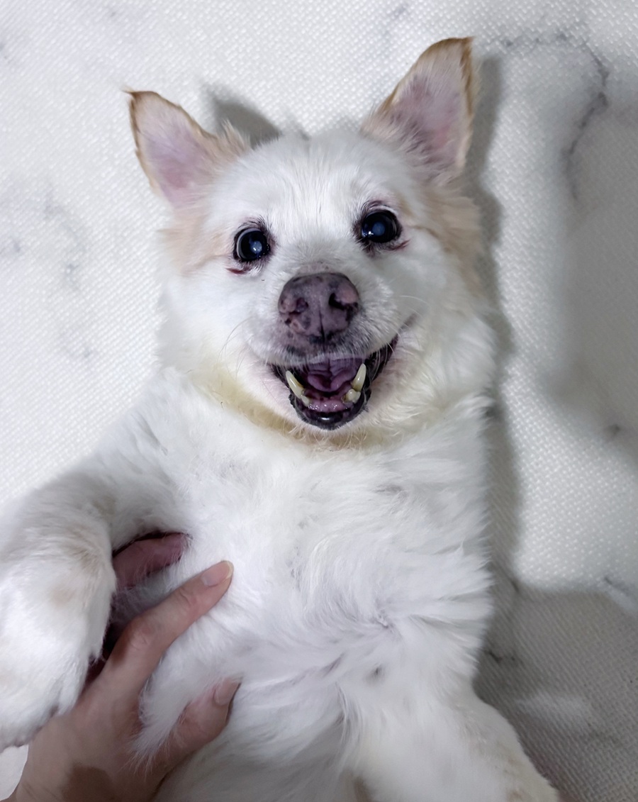 e26118e584ab2a8725eb36471f19f04b_1769420521_4485.jpg e26118e584ab2a8725eb36471f19f04b_1769420521_4485.jpg