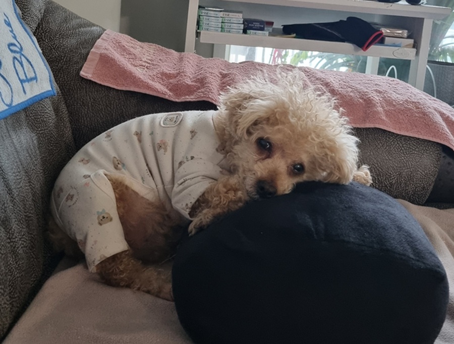 4923642fd47e65fac8b068cef4d37588_1771973376_0548.jpg 4923642fd47e65fac8b068cef4d37588_1771973376_0548.jpg