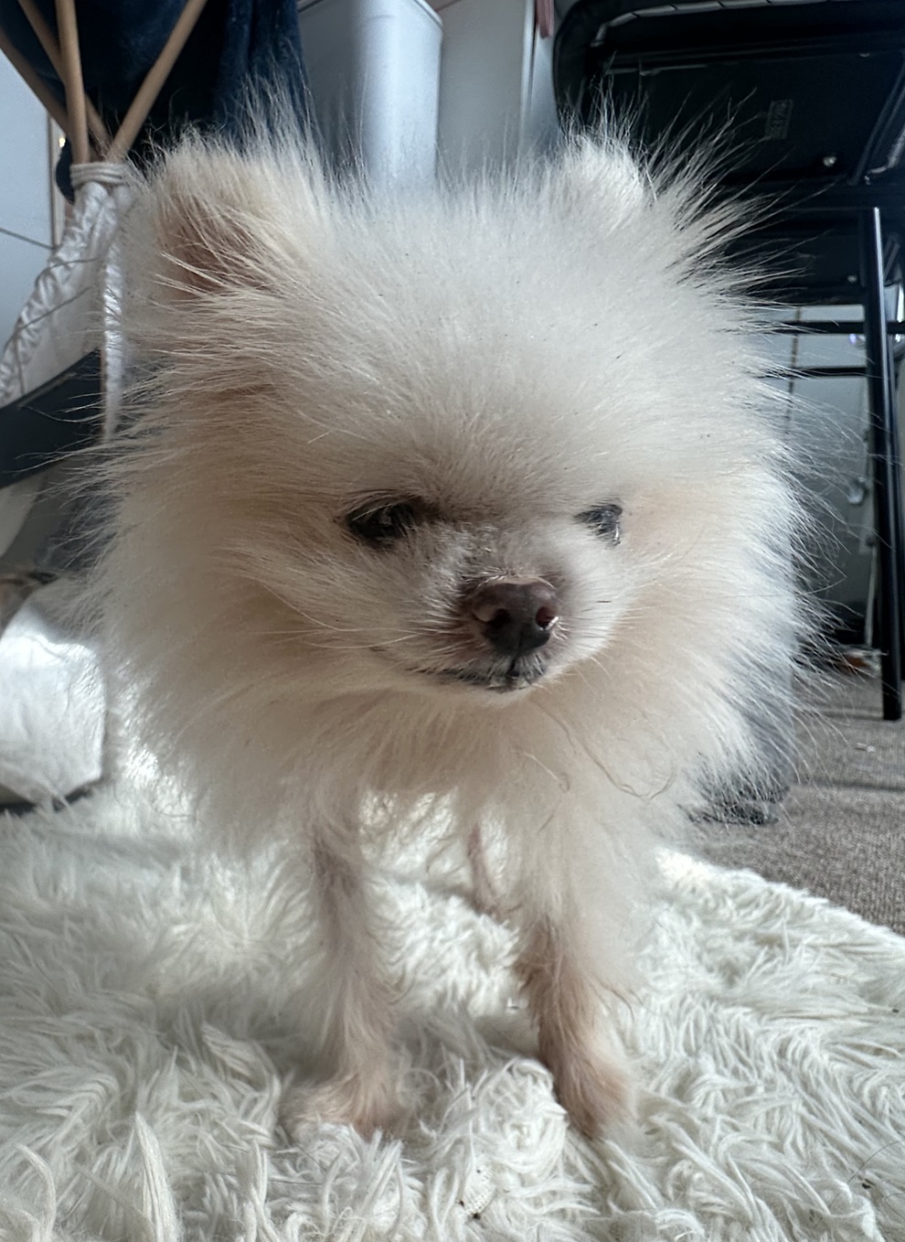 90064ba12fae7ddd63e6bb15b378daca_1770215278_5932.jpg 90064ba12fae7ddd63e6bb15b378daca_1770215278_5932.jpg