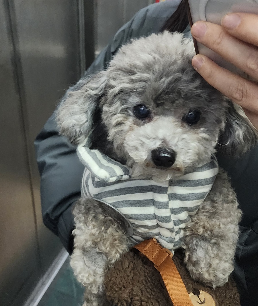 4d3dcac9b60eaad53e5a6c0cb3407a02_1772894096_9864.jpg 4d3dcac9b60eaad53e5a6c0cb3407a02_1772894096_9864.jpg