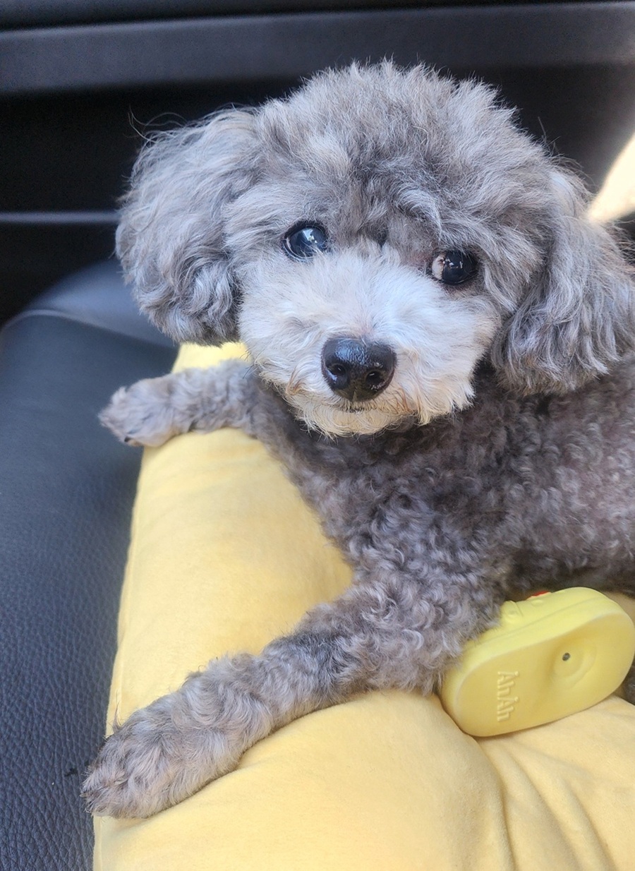 4d3dcac9b60eaad53e5a6c0cb3407a02_1772894415_3068.jpg 4d3dcac9b60eaad53e5a6c0cb3407a02_1772894415_3068.jpg