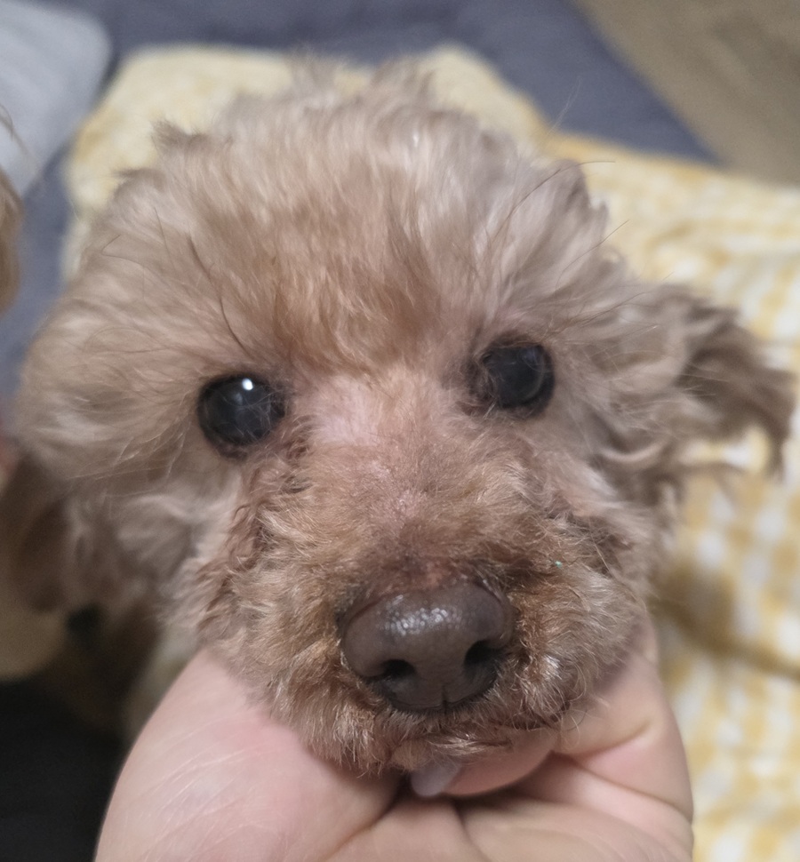 4d3dcac9b60eaad53e5a6c0cb3407a02_1772925440_7618.jpg 4d3dcac9b60eaad53e5a6c0cb3407a02_1772925440_7618.jpg