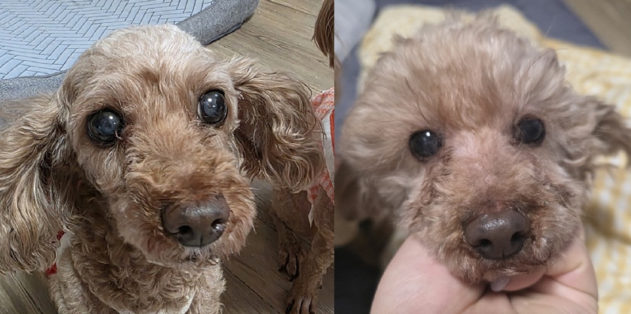 4d3dcac9b60eaad53e5a6c0cb3407a02_1772925481_3911.jpg 4d3dcac9b60eaad53e5a6c0cb3407a02_1772925481_3911.jpg