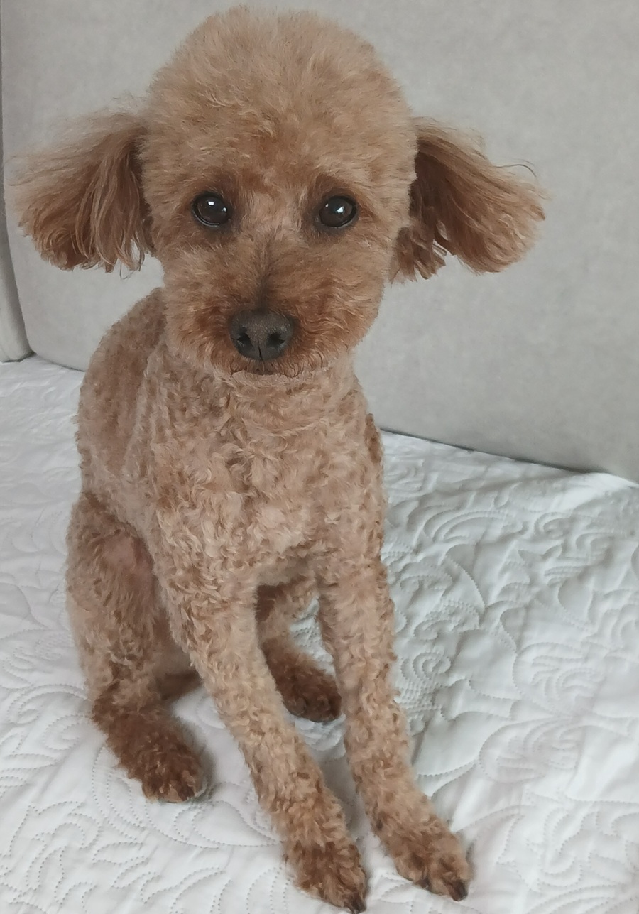 cd8a5b8651b61e93e85f5cef51282a7e_1773481141_4664.jpg cd8a5b8651b61e93e85f5cef51282a7e_1773481141_4664.jpg