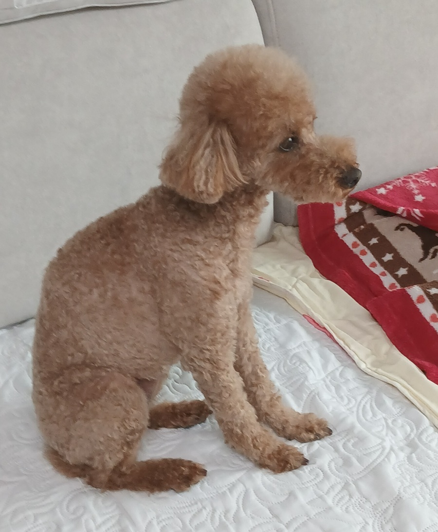 cd8a5b8651b61e93e85f5cef51282a7e_1773481167_721.jpg cd8a5b8651b61e93e85f5cef51282a7e_1773481167_721.jpg